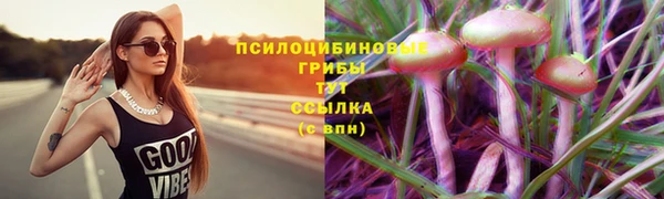 синтетический гашиш Гусь-Хрустальный