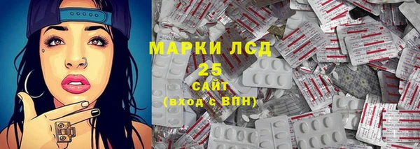 spice Гусиноозёрск