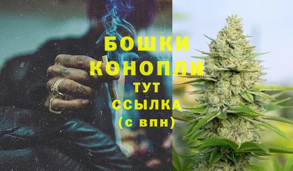мет Гусев