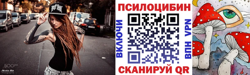 Купить где  Бобров  Галлюциногенные грибы Psilocybe 